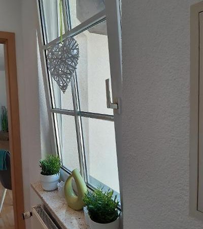Ferienwohnung Salzmannhaus Zschopau Ngoại thất bức ảnh