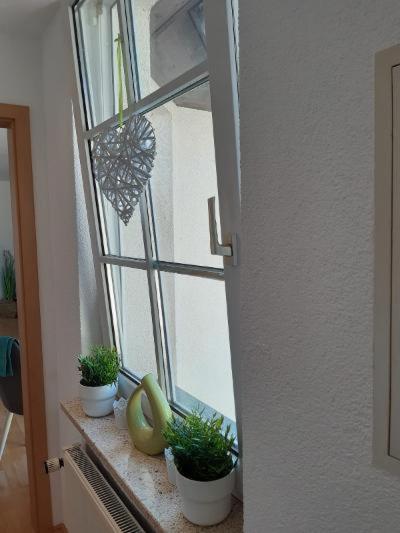 Ferienwohnung Salzmannhaus Zschopau Ngoại thất bức ảnh